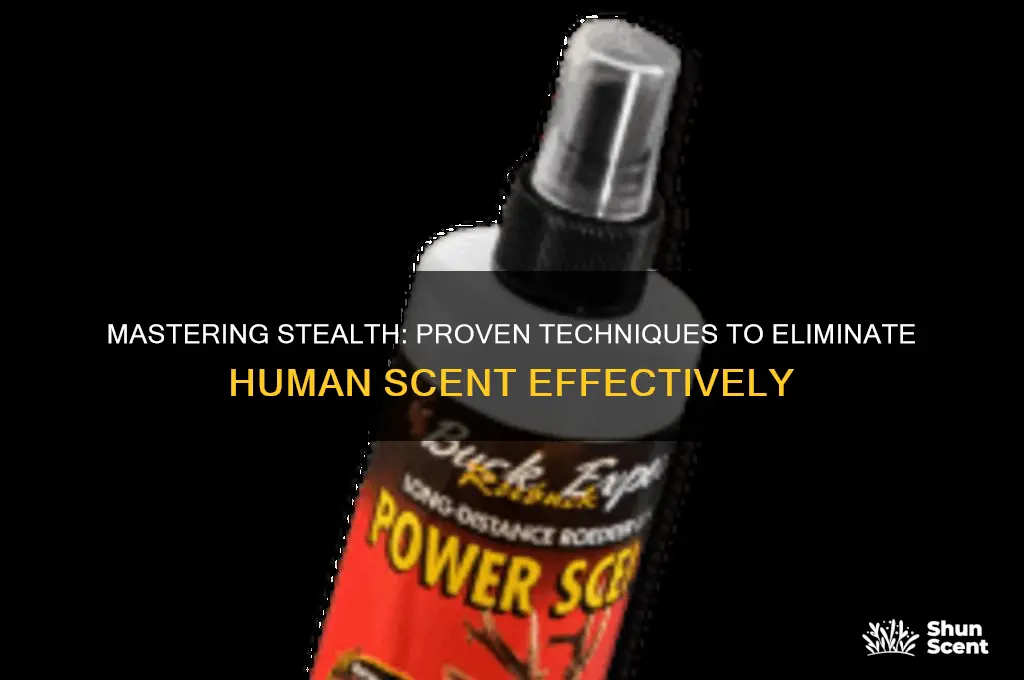 how to eliminate human scent