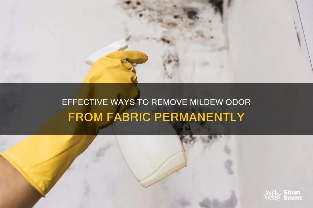 how to eliminate mildew scent from fabric