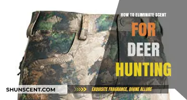 Mastering Scent Control: Proven Strategies for Successful Deer Hunting