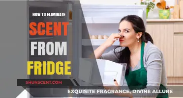Freshen Your Fridge: Proven Tips to Eliminate Unwanted Odors Fast