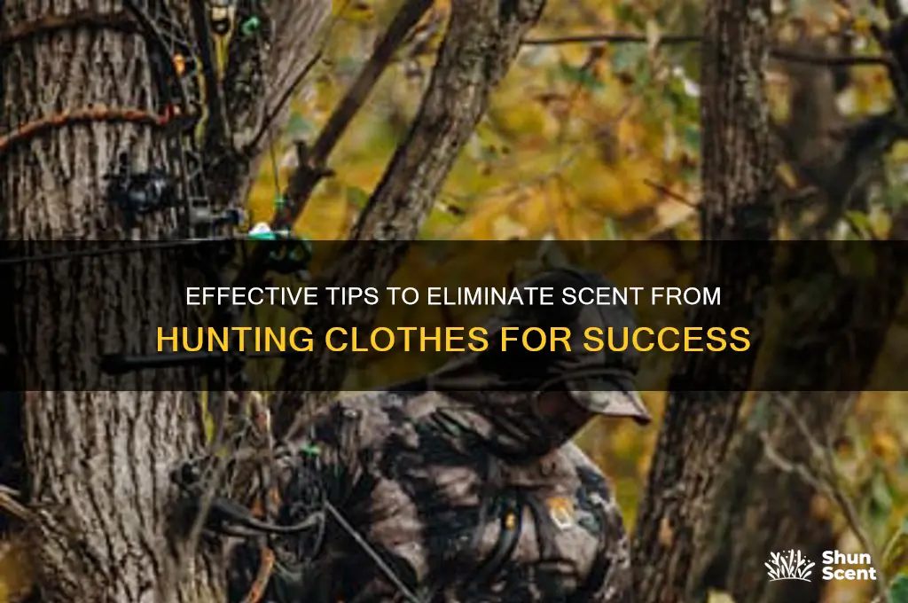how to eliminate scent from hunting clothes