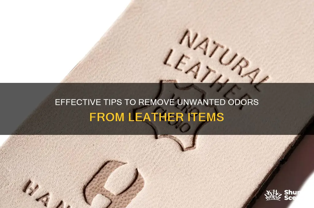 how to eliminate scent on leather