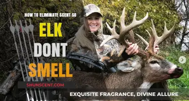 Mastering Scent Control: Proven Tactics to Stay Undetected by Elk