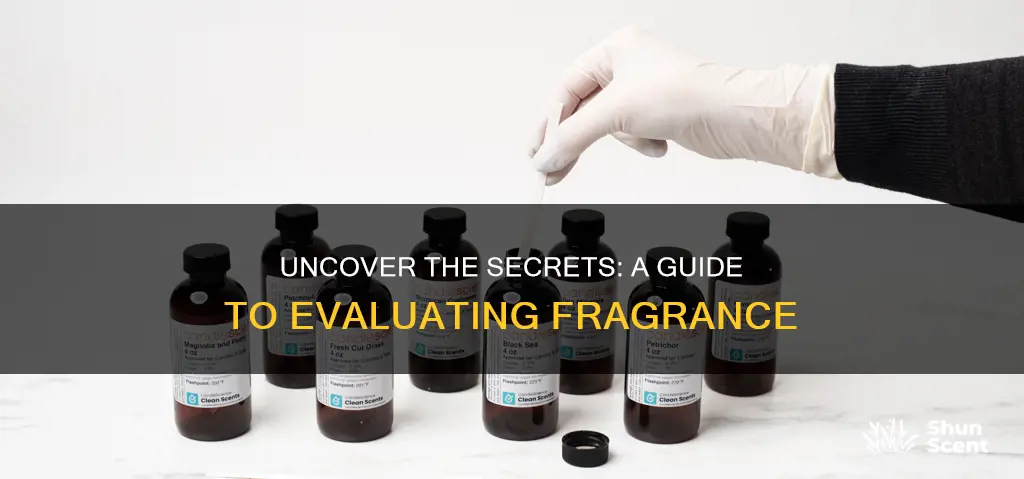 how to evaluate a fragrance