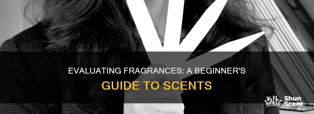 how to evaluate a fragrance