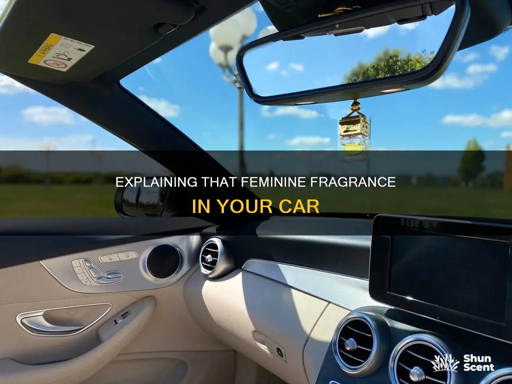 how to explain girl perfume smell in car