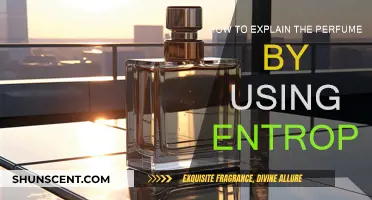 The Entropy of Scents: A Perfume Explanation