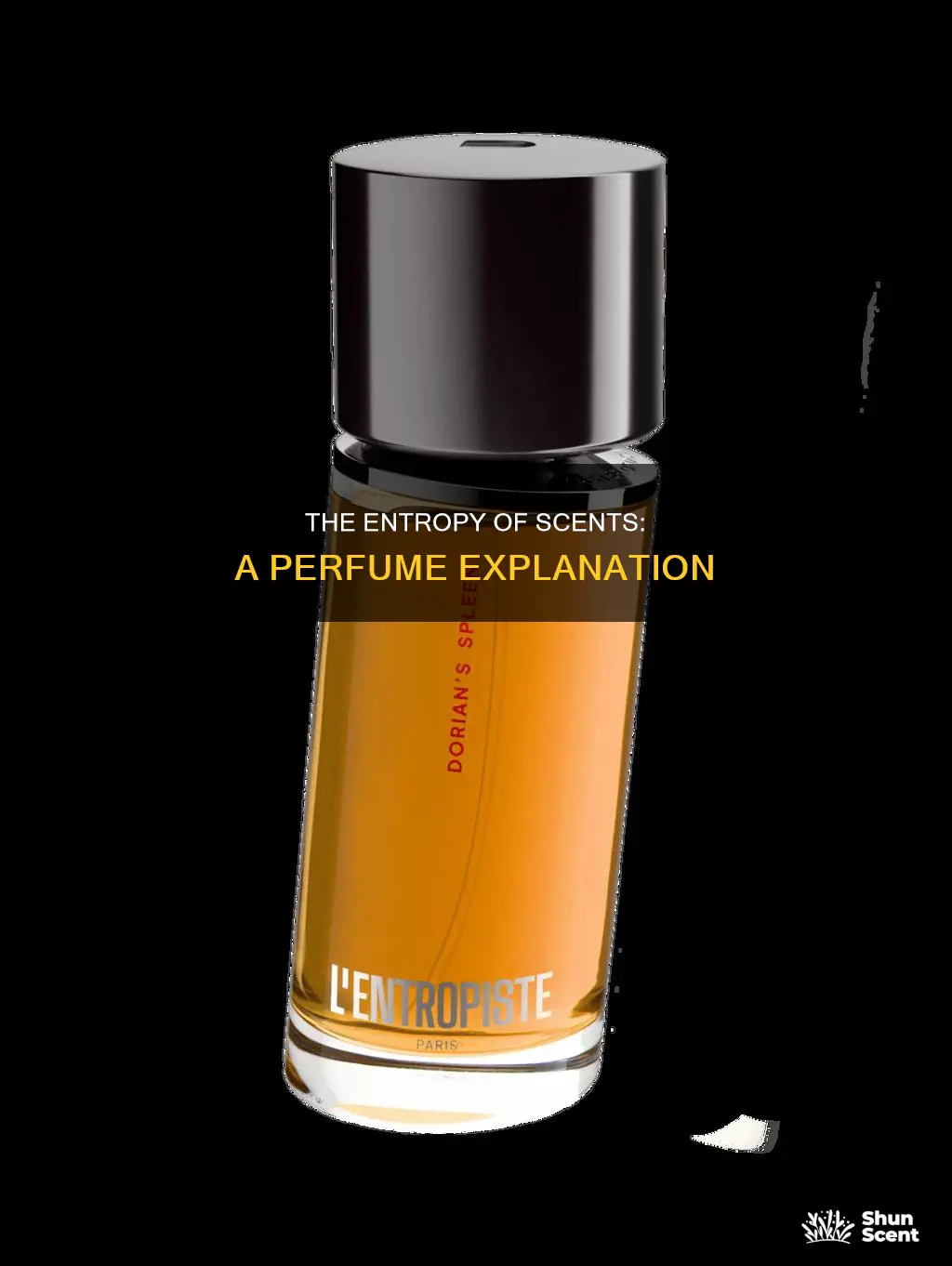how to explain the perfume by using entropy
