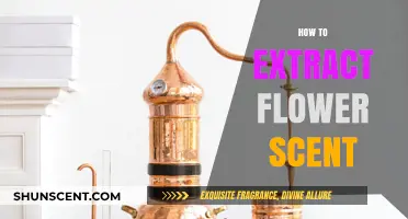 Mastering the Art of Extracting Pure Flower Scent at Home