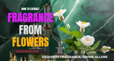 Extracting Fragrance from Flowers: A Beginner's Guide