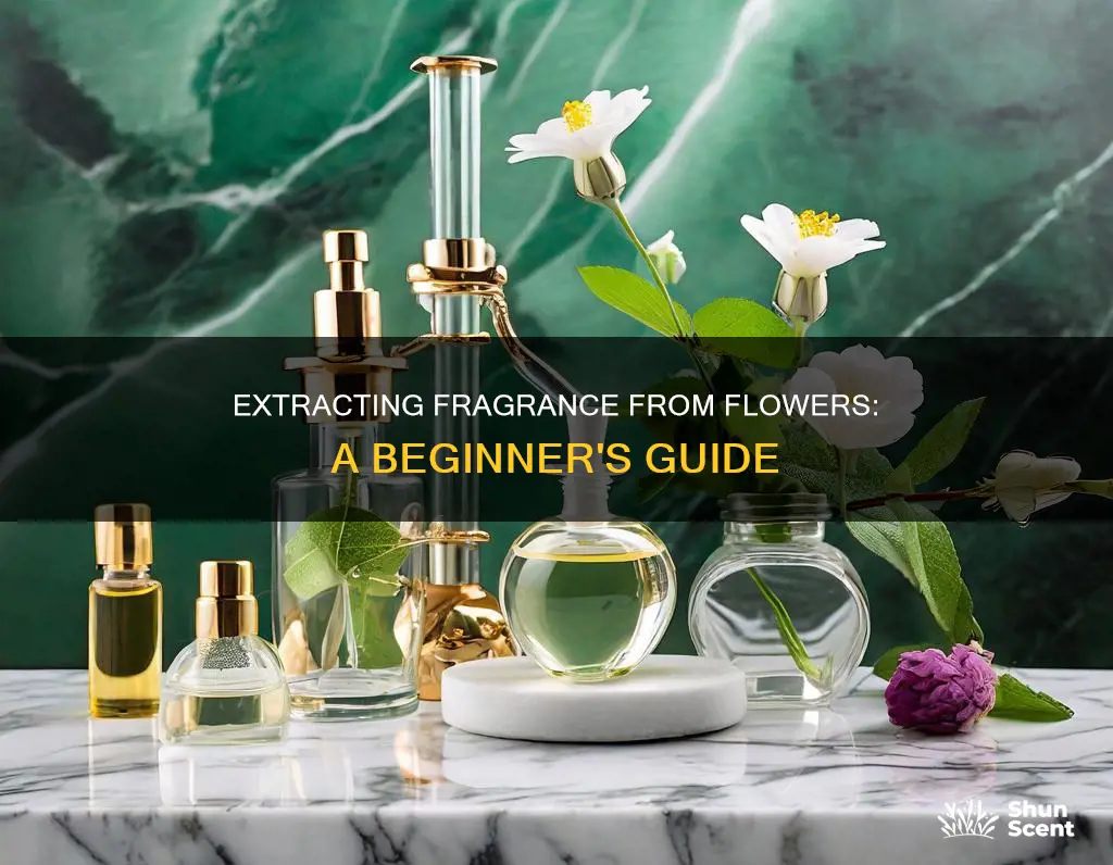 how to extract fragrance from flowers