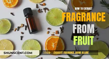 Unleash Nature's Essence: A Guide to Fruit Fragrance Extraction