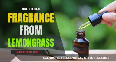 Aromatic Lemongrass: Unlocking the Essence of a Fragrant Herb