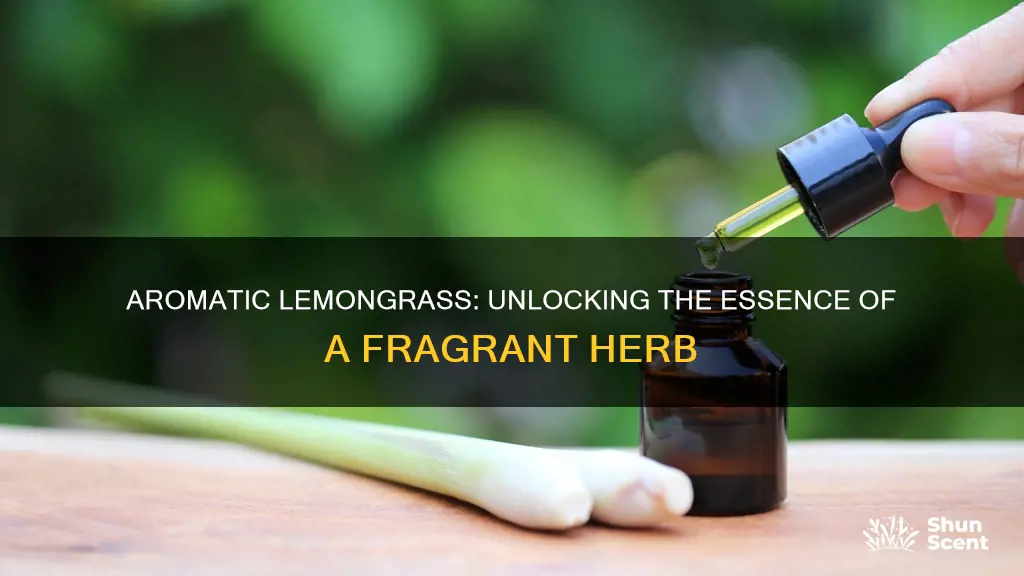 how to extract fragrance from lemongrass