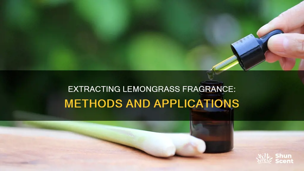 how to extract fragrance from lemongrass
