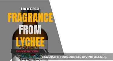 Lychee's Sweet Scent: A Guide to Extracting Fragrance