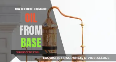 Mastering the Art of Fragrance Extraction: A Guide to Base Oil Processing