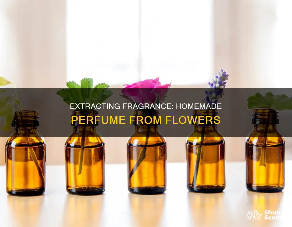 how to extract perfume from flowers at home