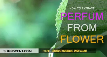 Extracting Fragrance: The Art of Floral Perfume Making