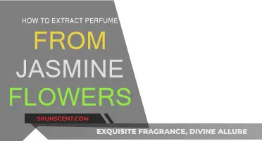 Extracting Jasmine's Fragrance: A Guide to Homemade Perfume