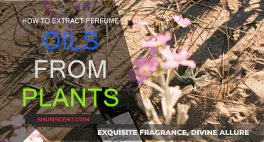 Extracting Fragrance: Plant-Based Perfume Oils