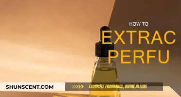 The Art of Extracting Perfume: A Beginner's Guide