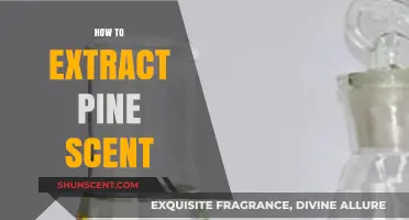 Extracting Pine Scent: A Simple Guide to Capturing Nature's Freshness