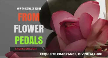 Extracting Floral Fragrance: A Guide to Capturing Scent from Petals