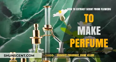 Creating Scents: Extracting Fragrance from Flowers for Perfume