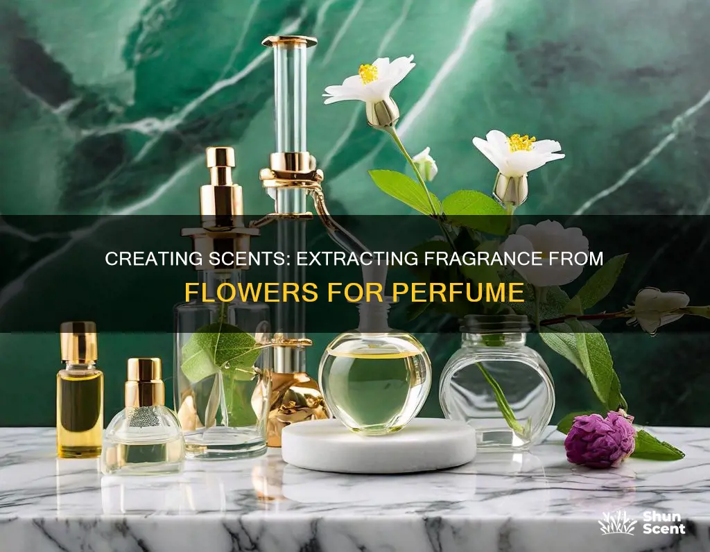 how to extract scent from flowers to make perfume