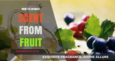 Mastering Fruit Essence Extraction: A Guide to Capturing Natural Scents