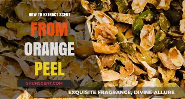 Extracting Orange Peel Essence: A Simple Guide to Capturing Citrus Aroma