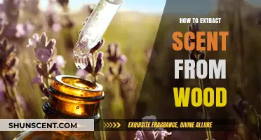 Unlocking Nature's Aromas: A Guide to Extracting Scent from Wood