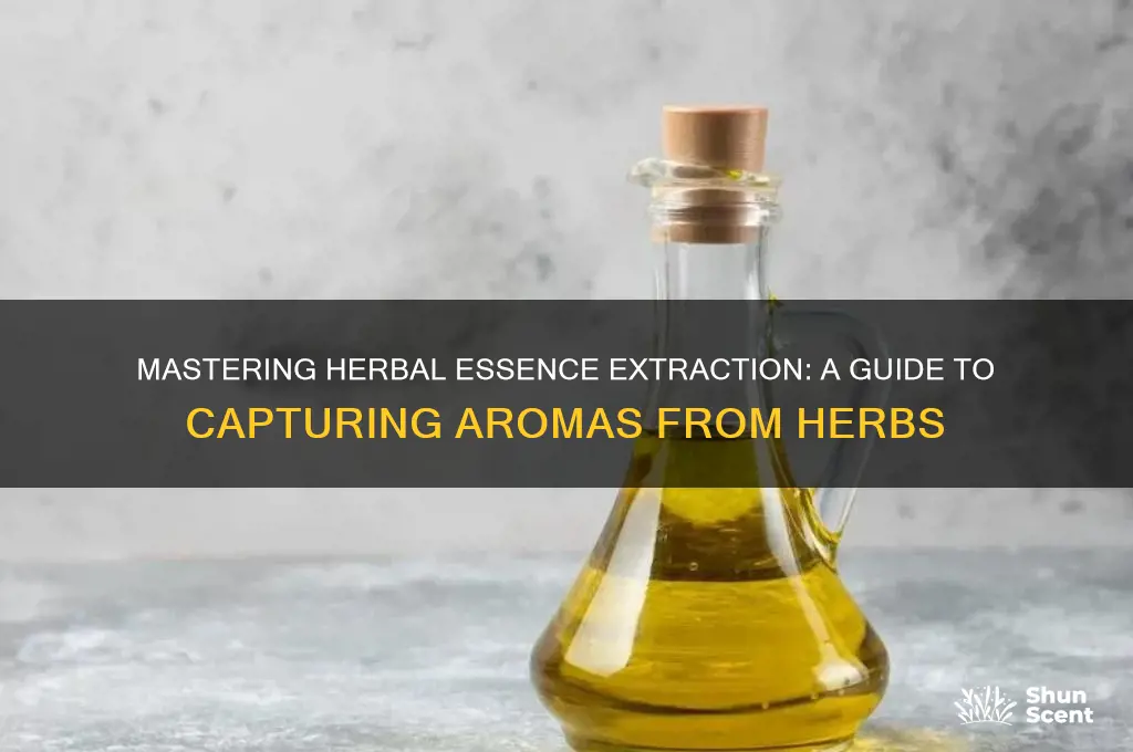 how to extract scents from herbs