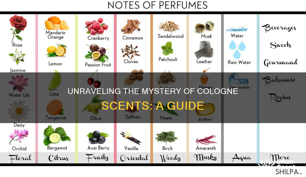 how to figure out a cologne smell