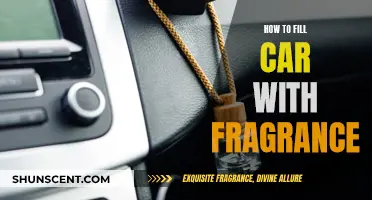 Infuse Your Car with Scent: A Guide to Fragrant Adventures