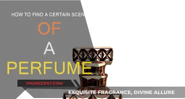 Finding Your Signature Scent: A Guide to Perfumes