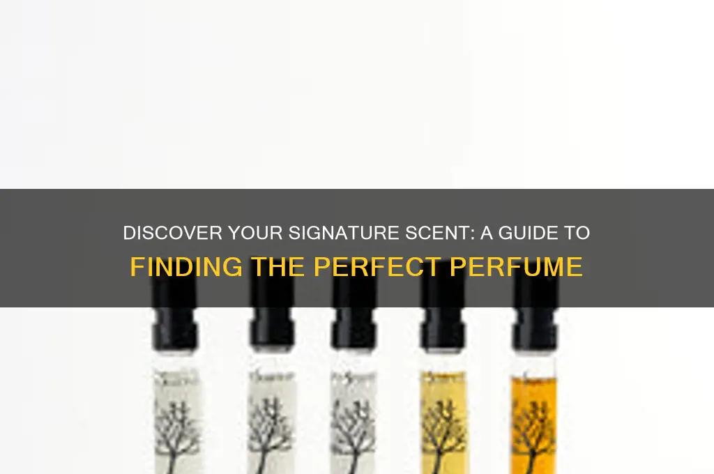 how to find a new perfume scent