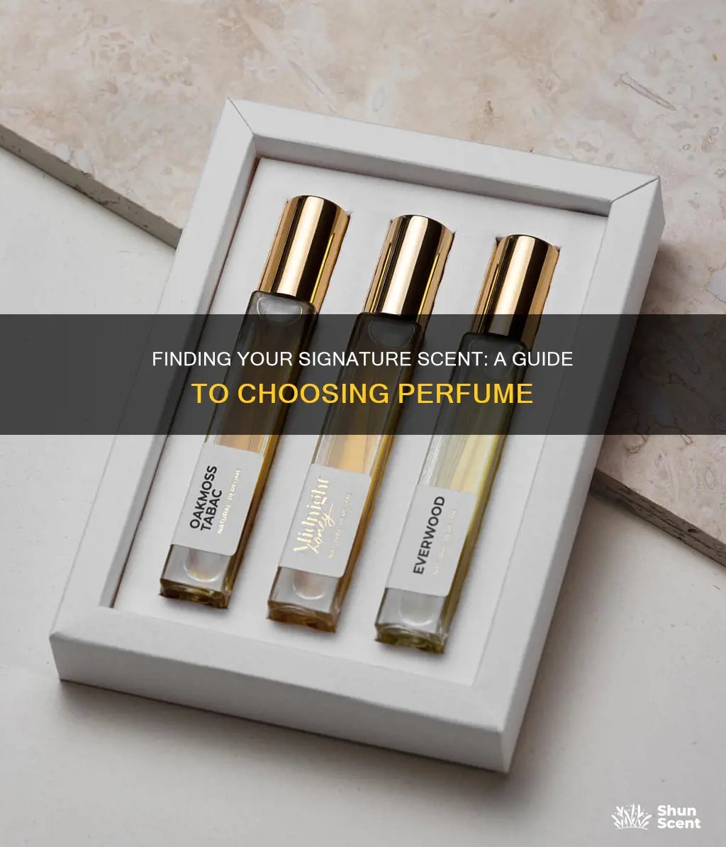 how to find a new perfume