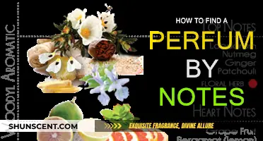 Finding Your Signature Scent: Decoding Perfume Notes