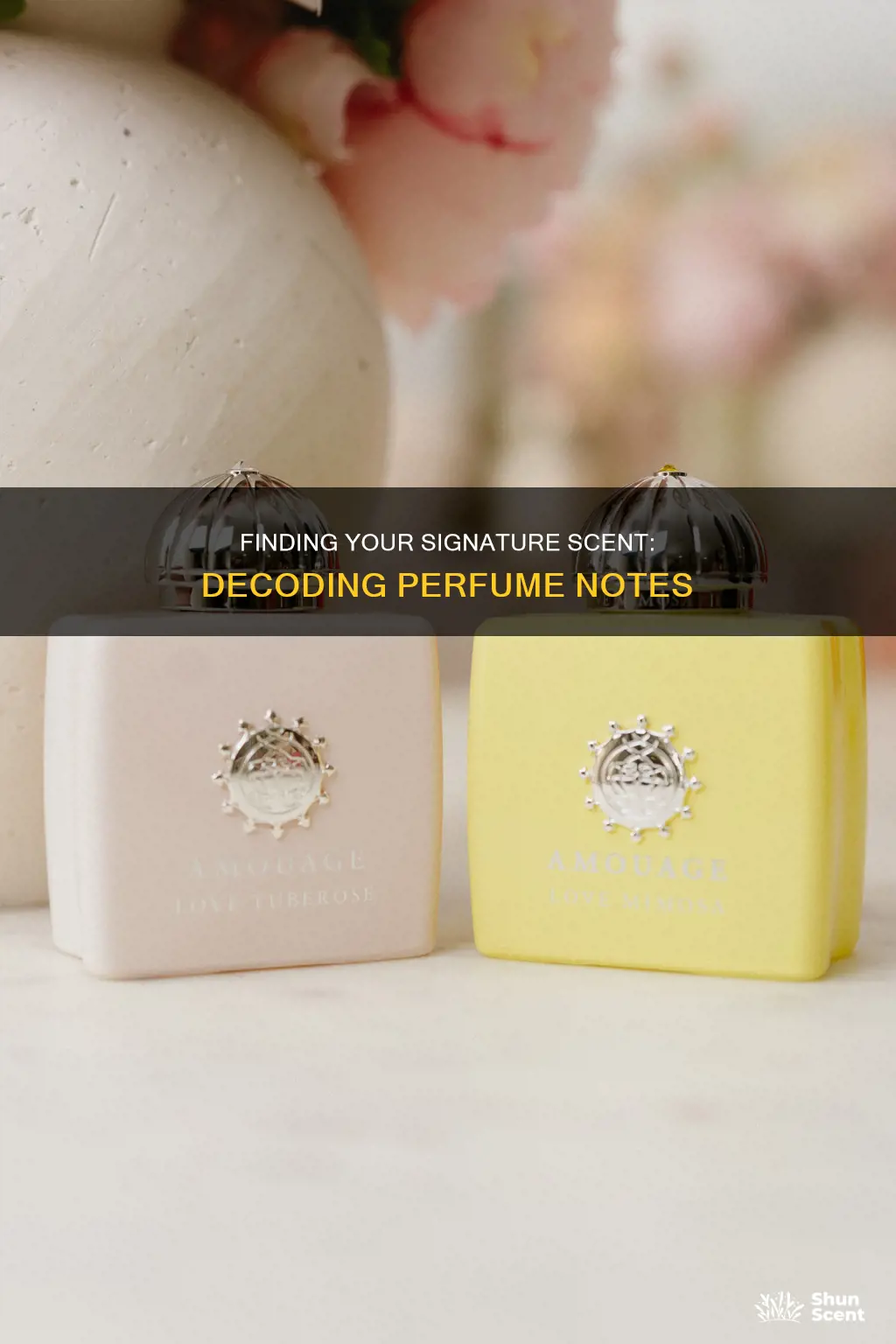 how to find a perfume by notes