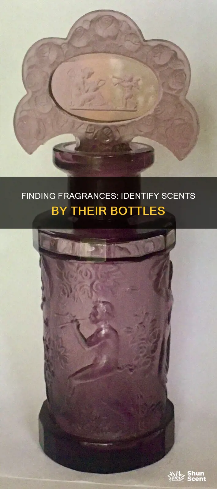 how to find a perfume by the bottle