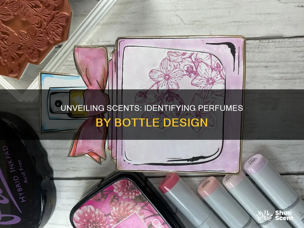 how to find a perfume by the shape bottle