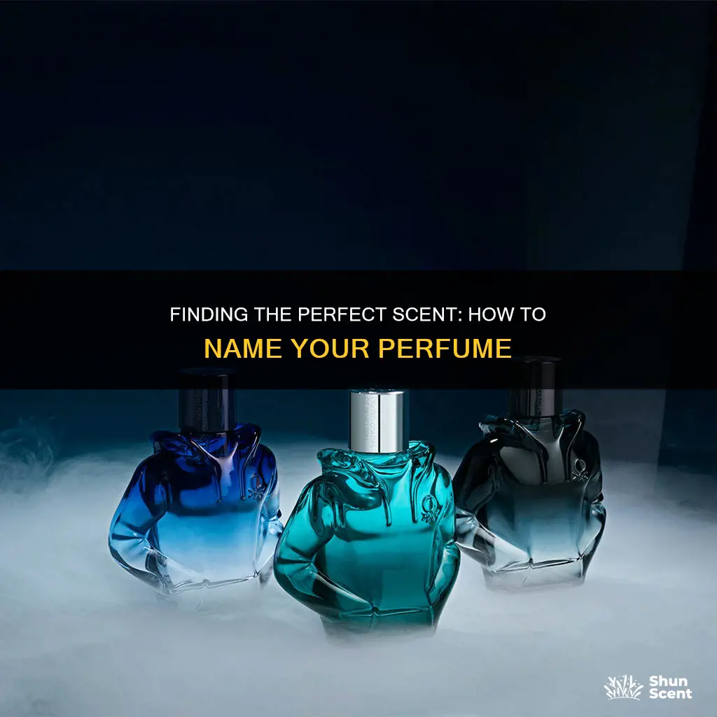 how to find a perfume name
