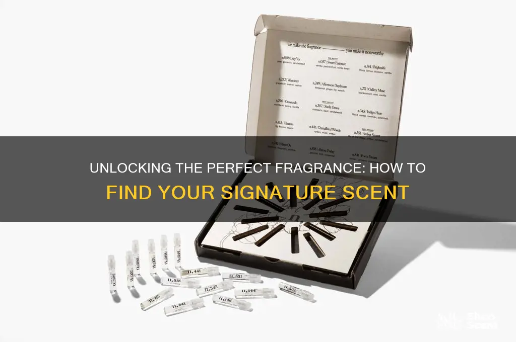 how to find a scent is the key