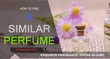 Discovering Your Signature Scent: Finding Similar Perfumes