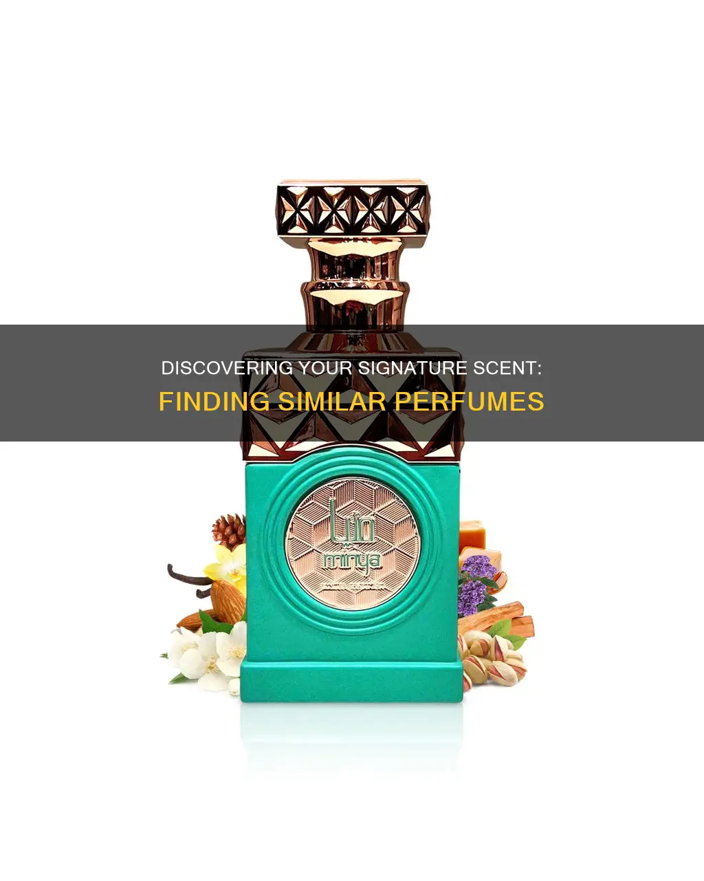how to find a similar perfume