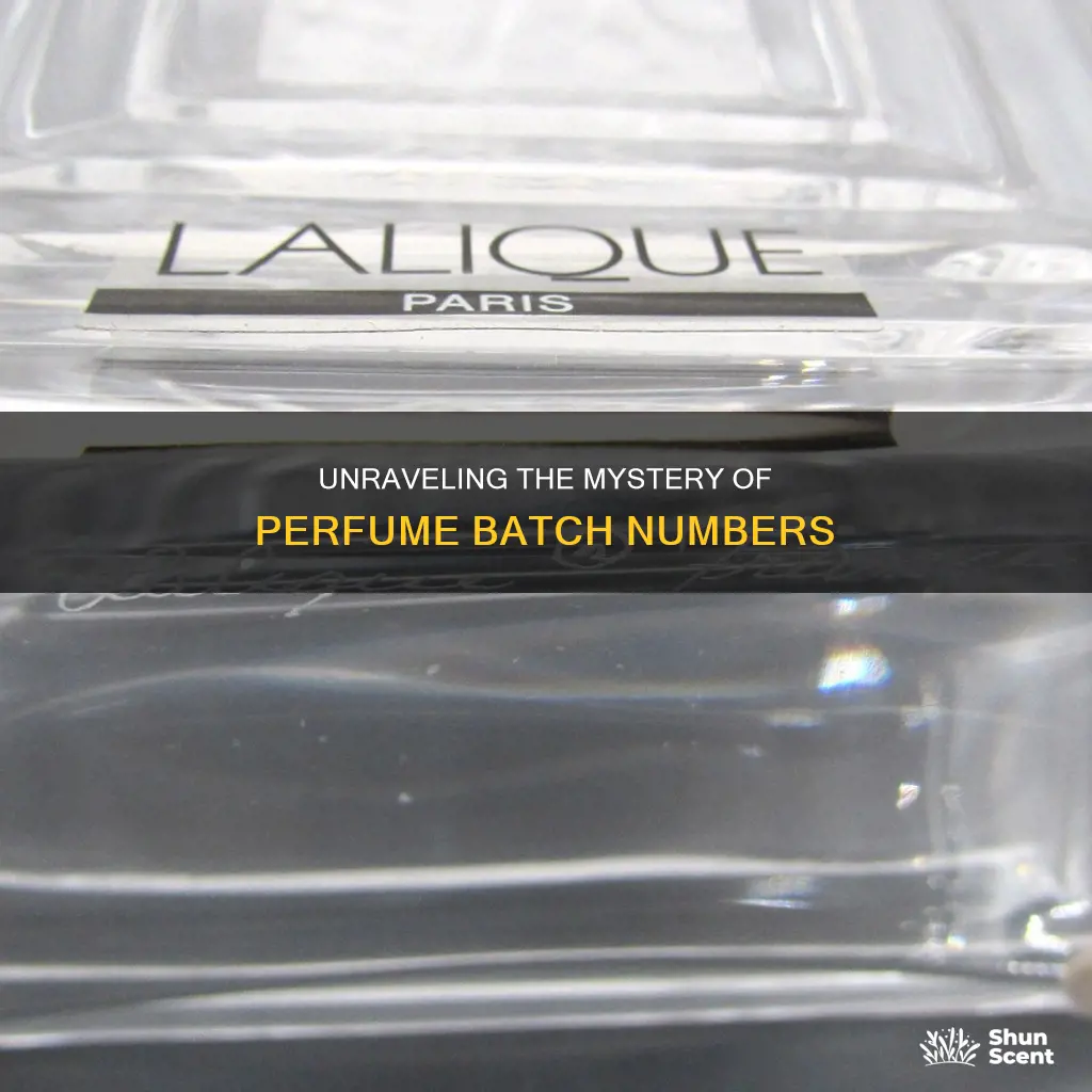 how to find batch number of perfume