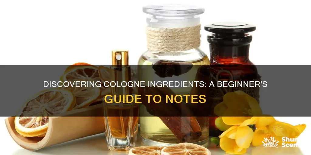 how to find cologne ingredients