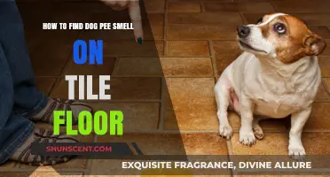 Sniffing Out Trouble: Locating Dog Urine Odor on Tile Floors